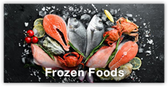 frozen_thumbnail